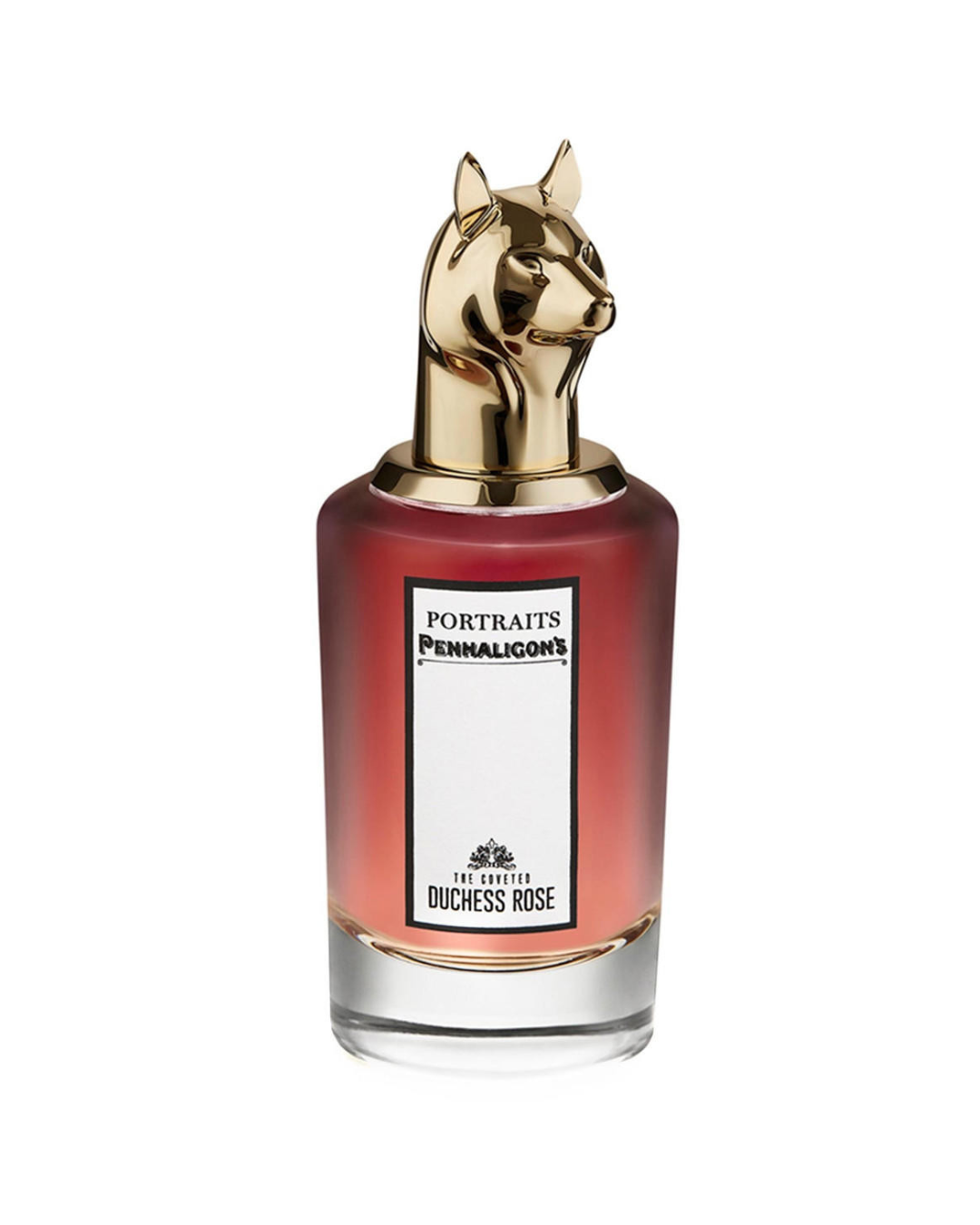 THE COVETED DUCHESS ROSE