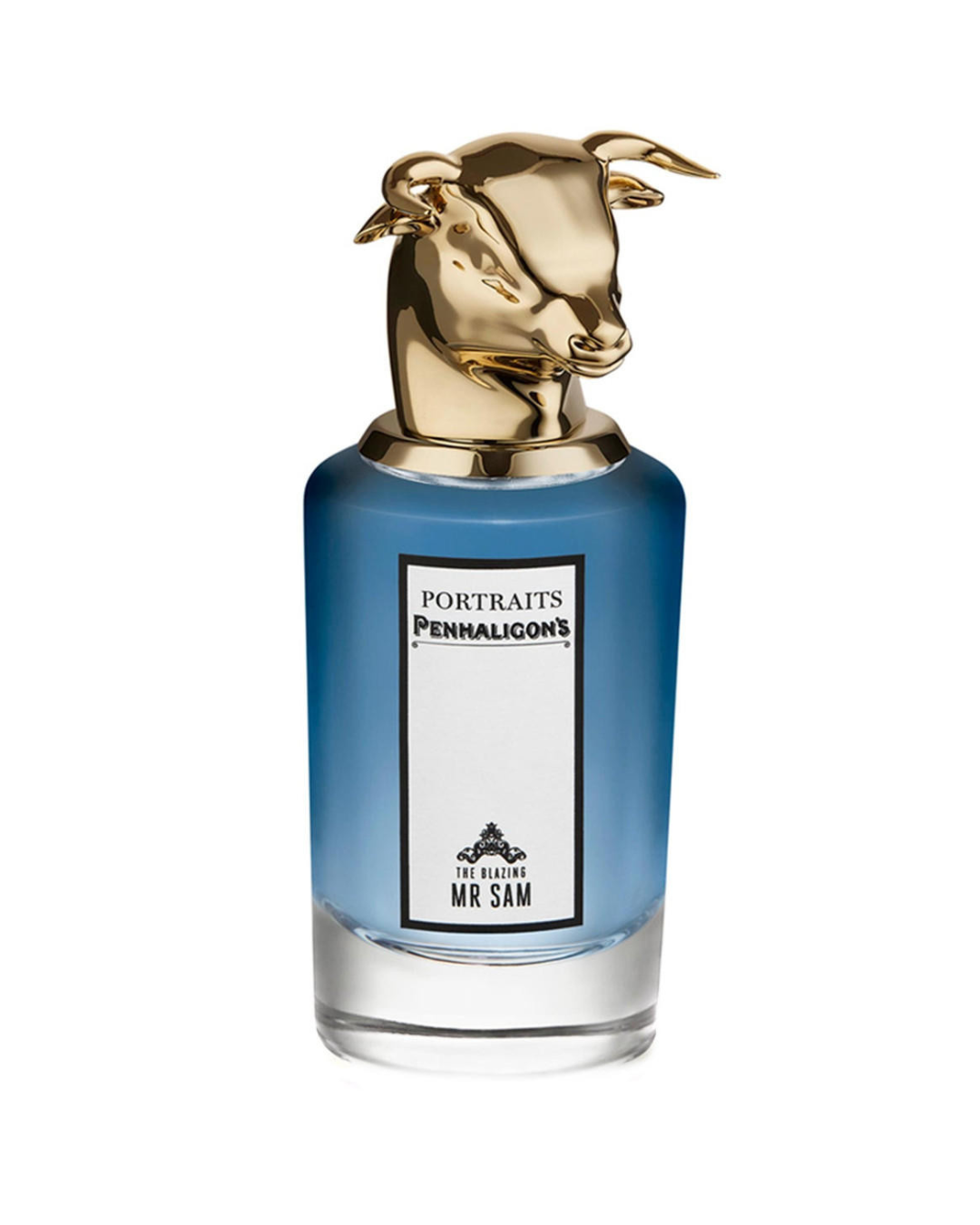 THE BLAZING MISTER SAM