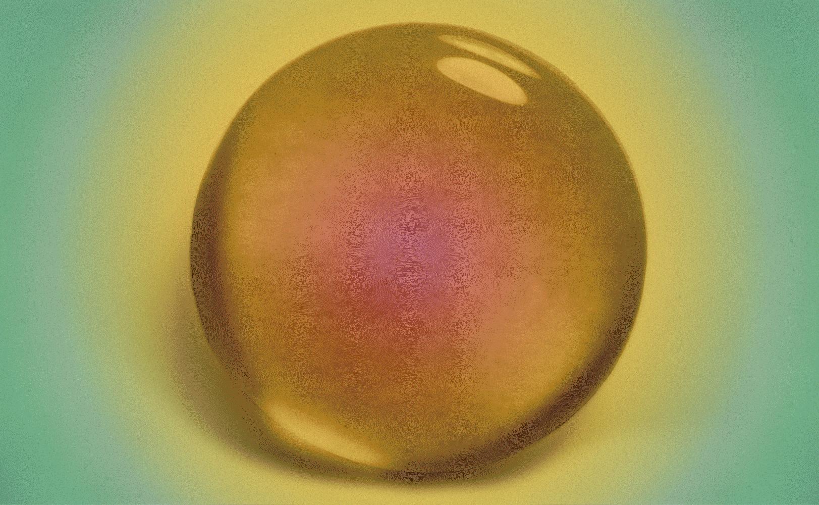 Grapefruit Generation