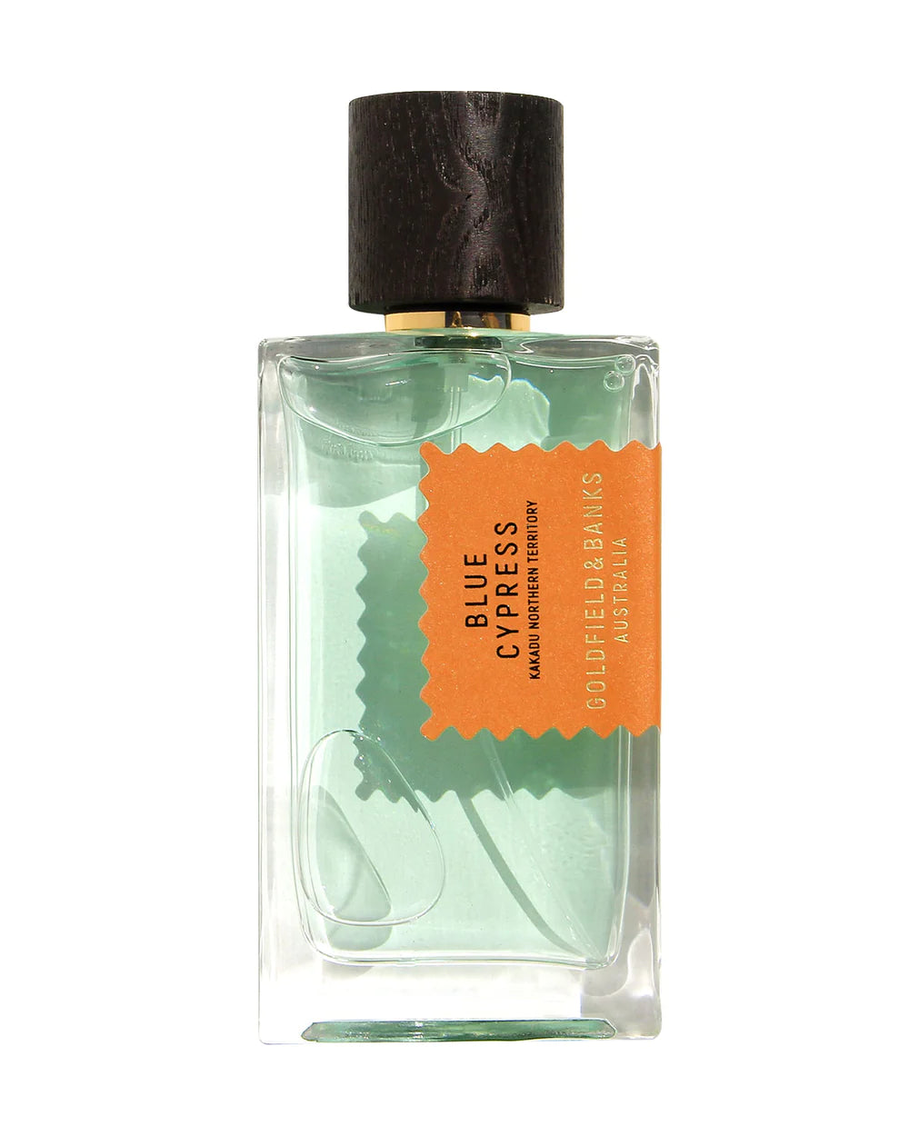 Blue Cypress