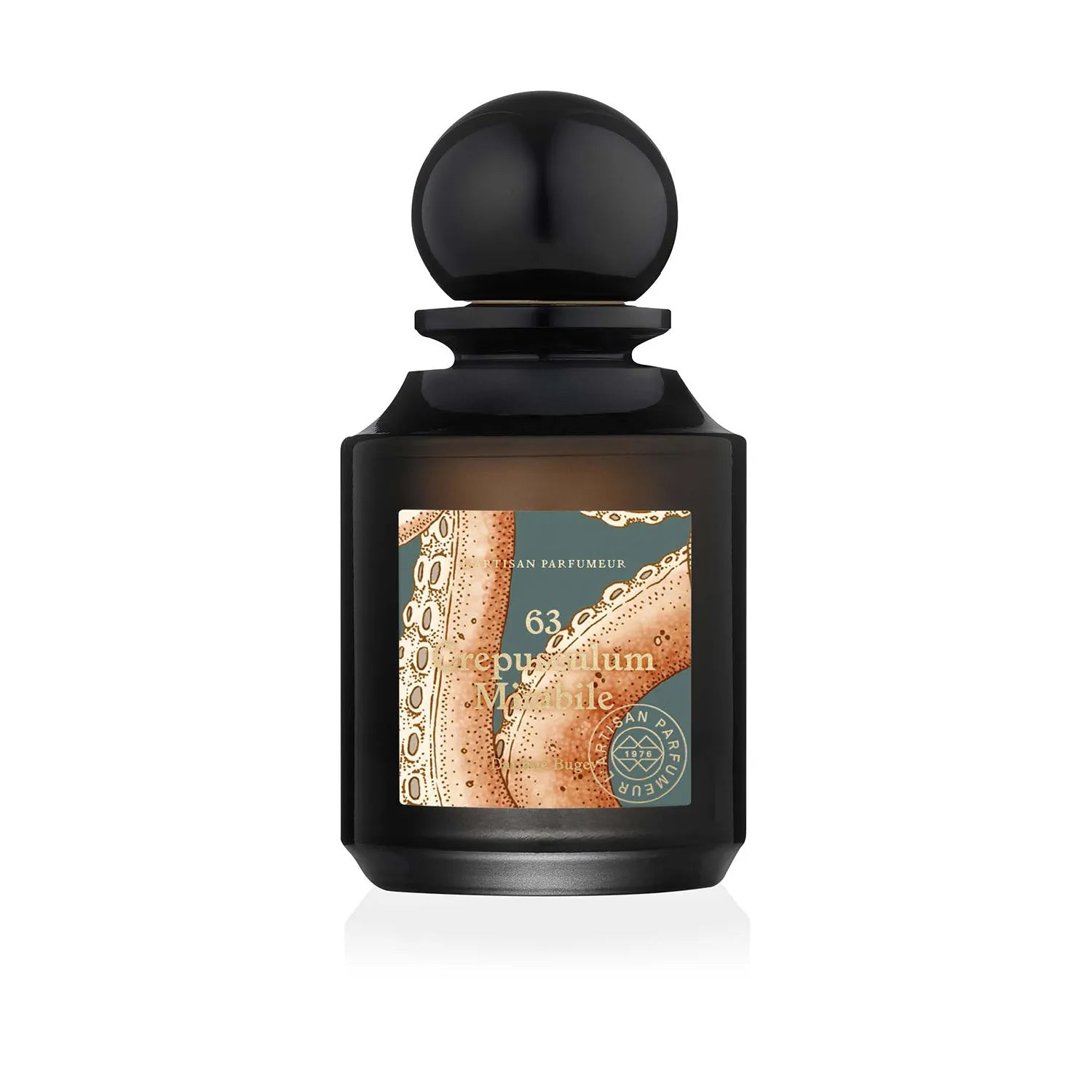 Crepusculum Mirabile