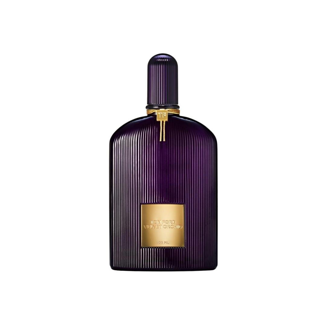 Velvet Orchid