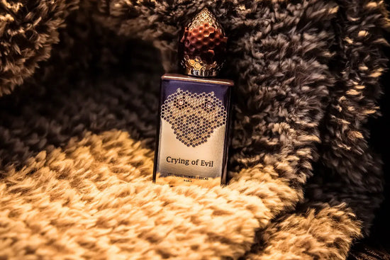 STEPHANE HUMBERT LUCAS