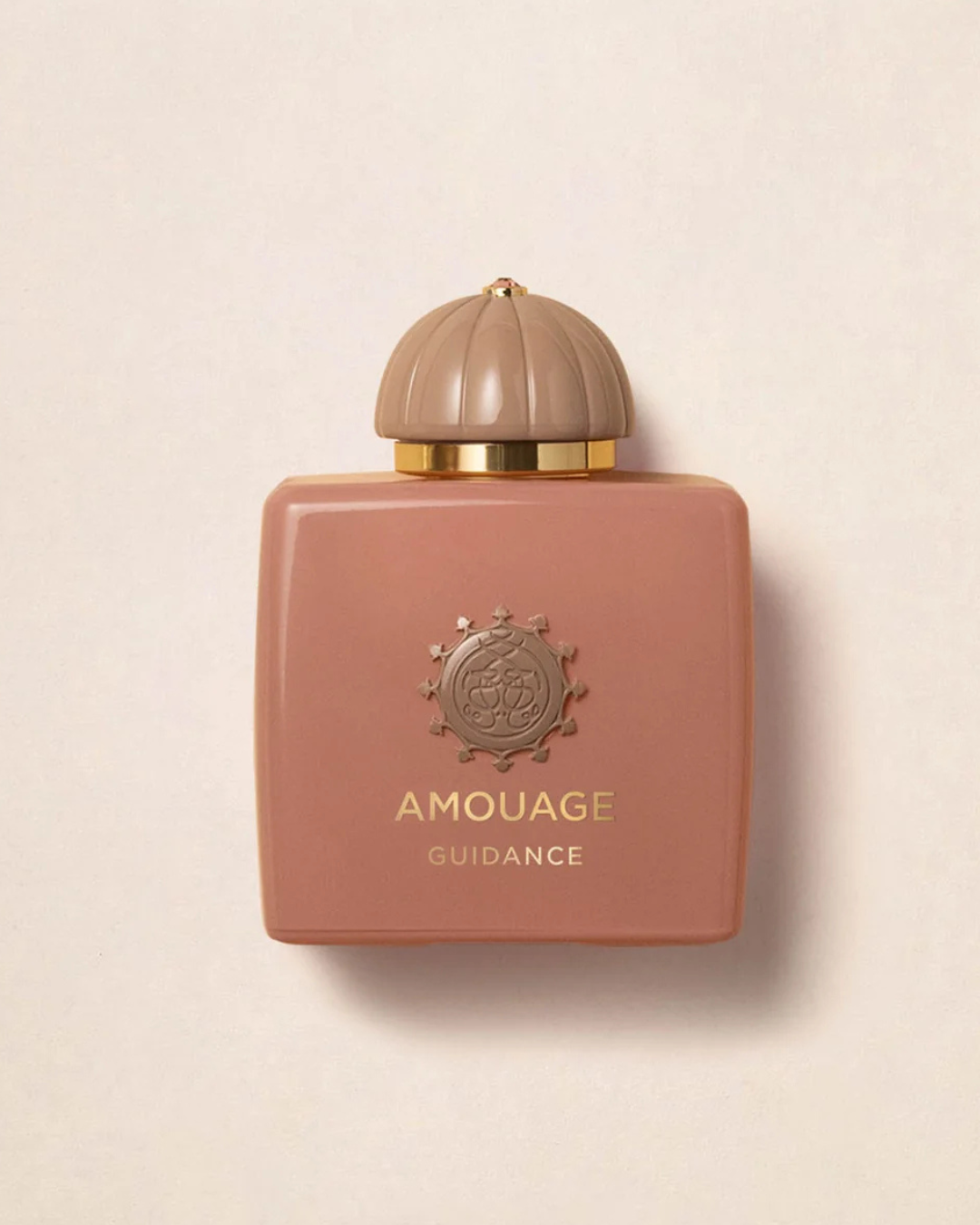 AMOUAGE GUIDANCE EAU DE PARFUM 100 ML|Colore:Unico