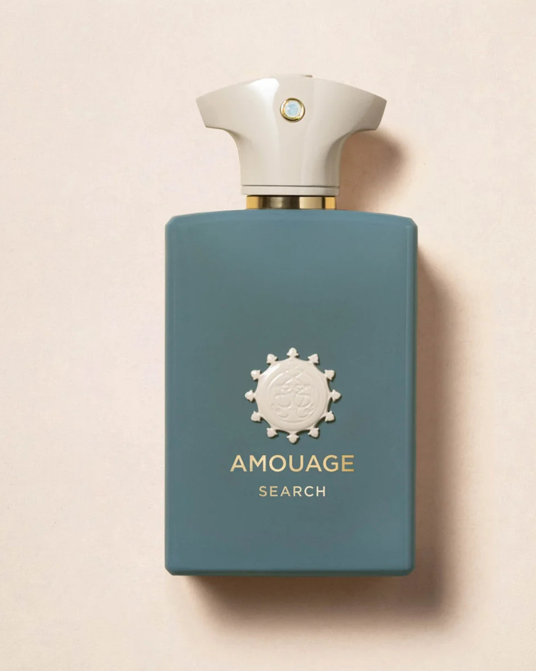 AMOUAGE SEARCH EAU DE PARFUM 100 ML|Colore:Unico