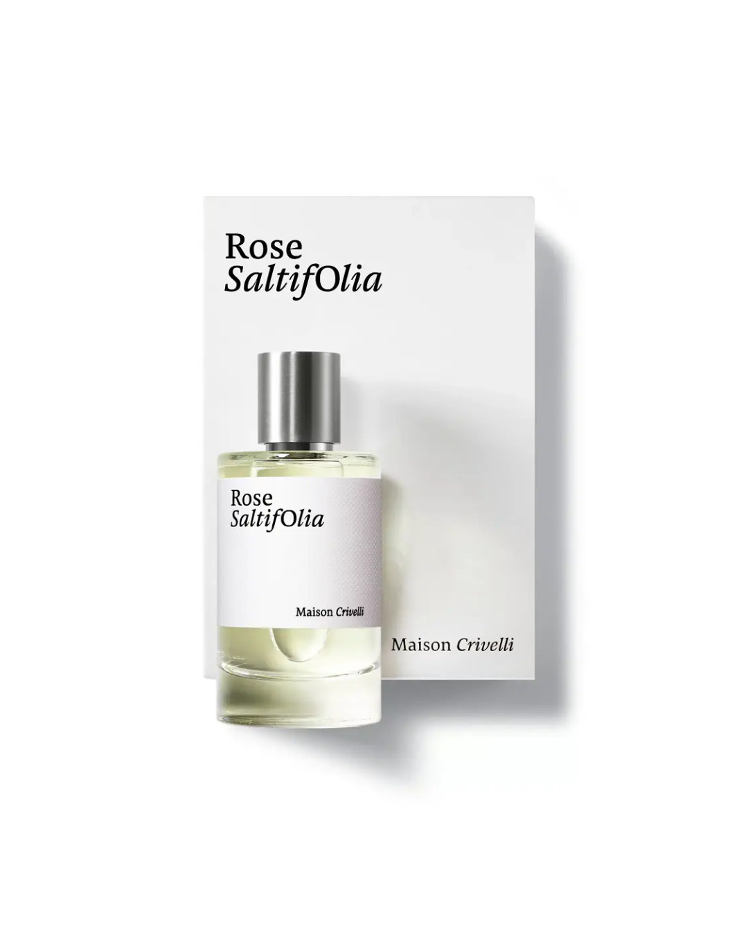 ROSE SALTIFOLIA|Colore:Unico