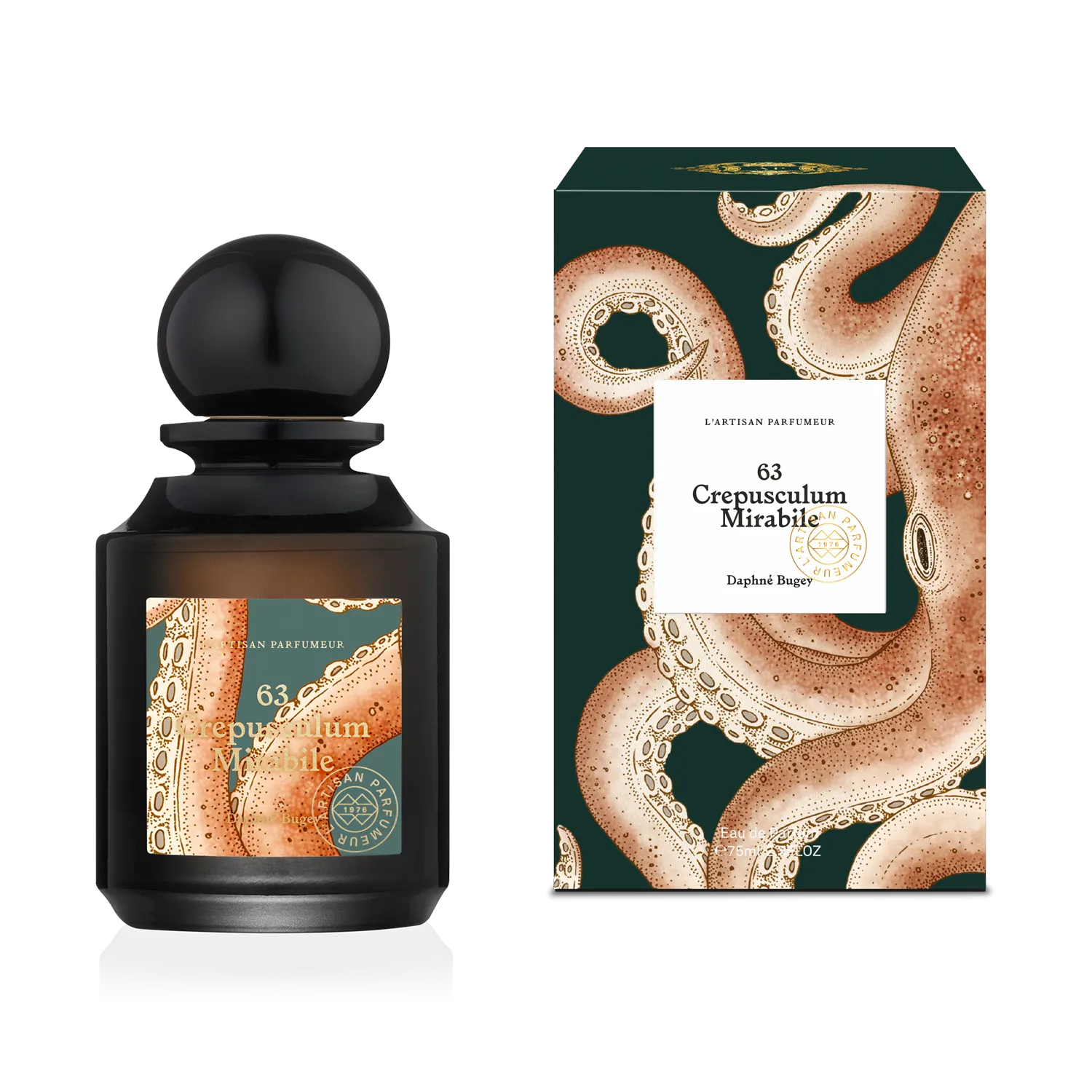 Crepusculum Mirabile