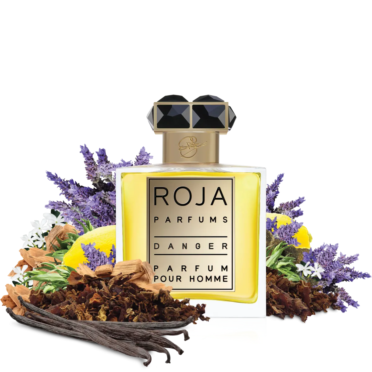 Danger Pour Homme Extrait
